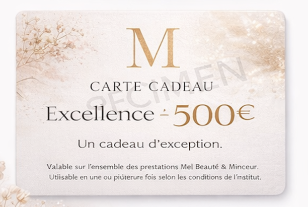 Carte Cadeau Excellence – 500€